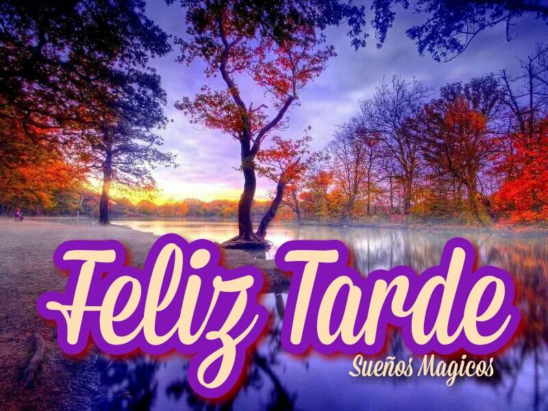 feliz-tarde-paisaje